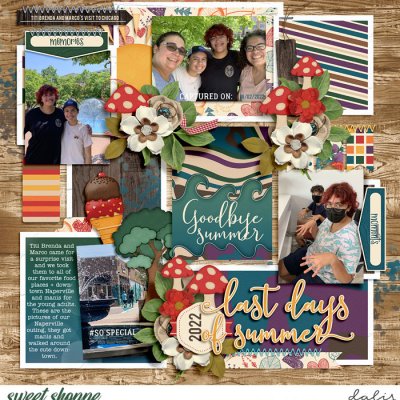 Last Summer Days - August 19 - The Whole Story