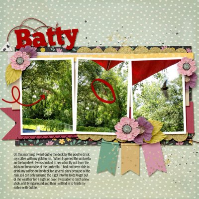 The Whole Story - Batty