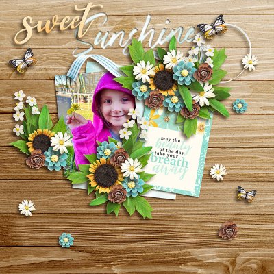 Sweet Sunshine