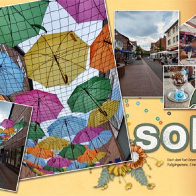 visit soltau