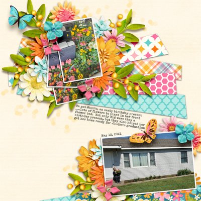 11_Garden