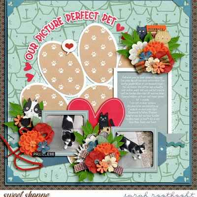 Our picture perfect pet?