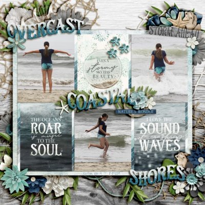 Overcast Coastal Shores