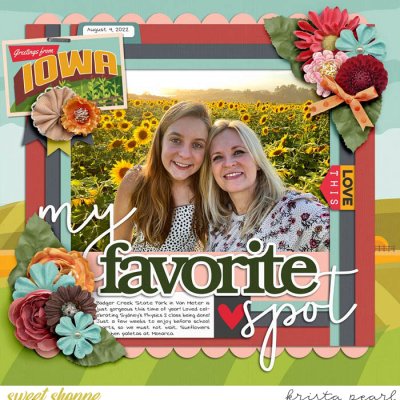 Iowa Sunflowers