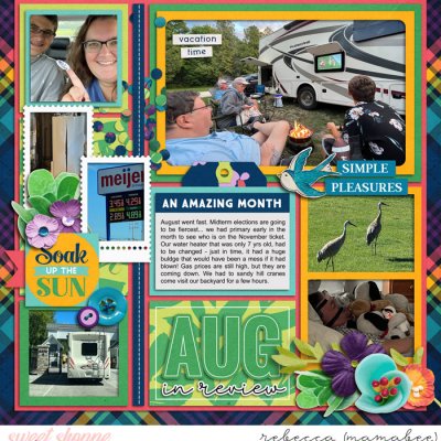 aug review 2022 - left