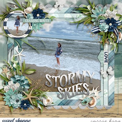 Stormy Skies