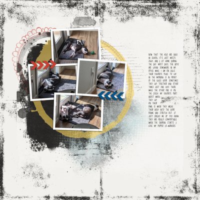 The-Whole-Story