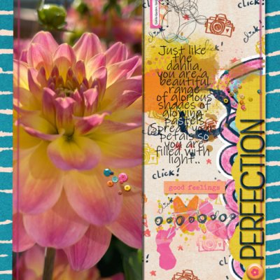 Like A Dahlia