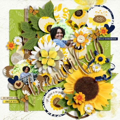sunflower beauty