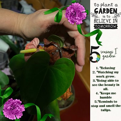 5 Reasons I Garden