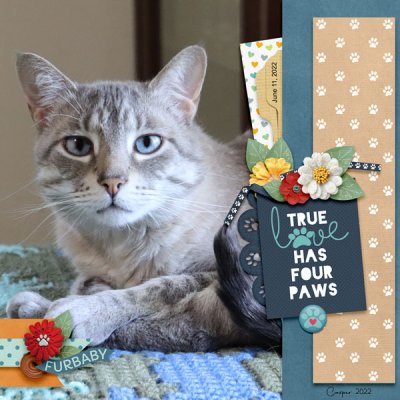Scraplift - Casper