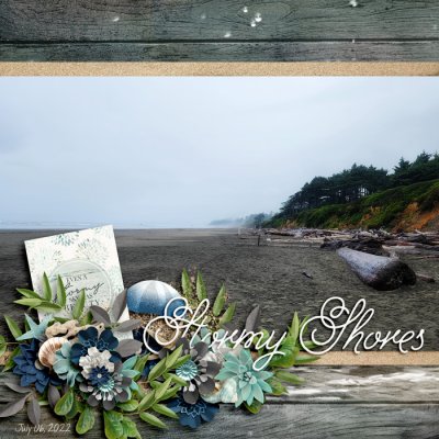 Stormy Shores