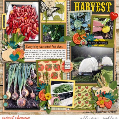 Harvest