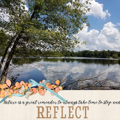 Nature is a Great Reminder to Always Take Time To Stop and REFLECT