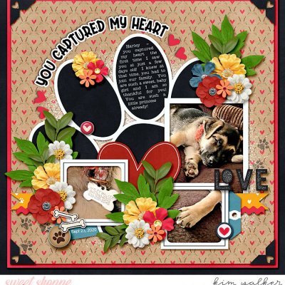 You Captured My Heart