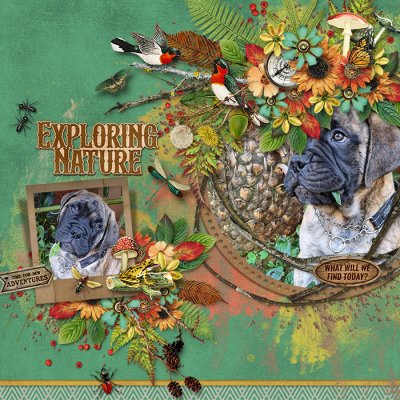 Explore More