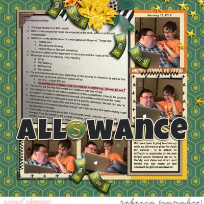 Allowance Plan