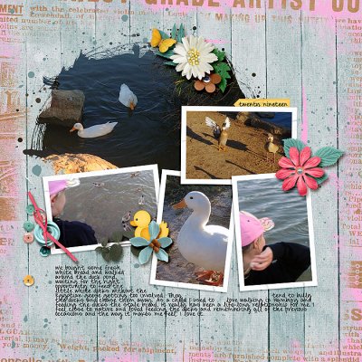 Ducks