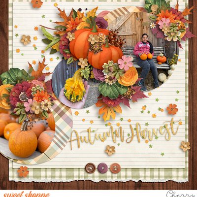 Autumn Harvest