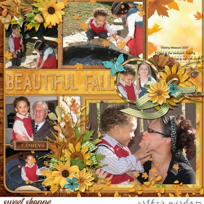 Beautiful Fall