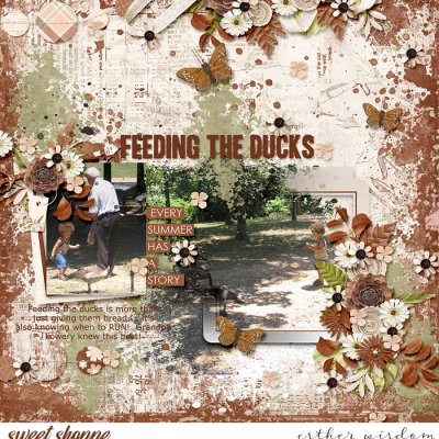 Feeding the Ducks