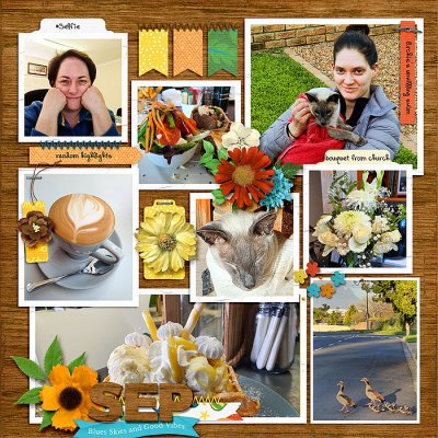 Sept at home