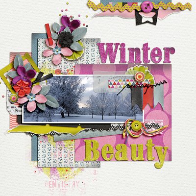 Winter Beauty