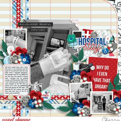 Hospital Stay