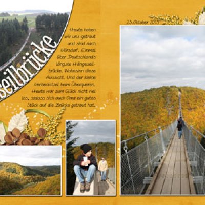 hanging rope bridge
