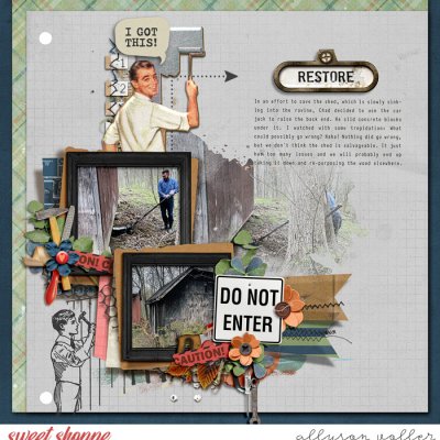 Restore: Shed