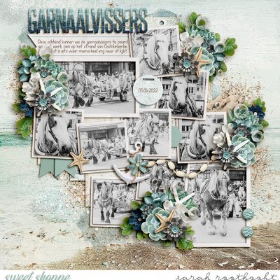 Garnaalvissers