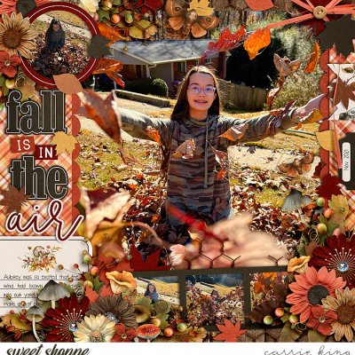 Fall is in the Air