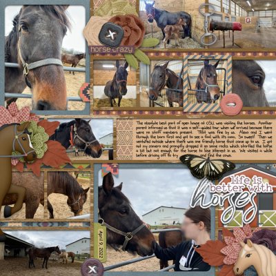 Horses