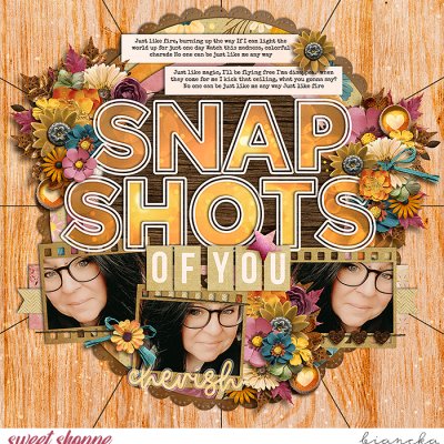 snapshots