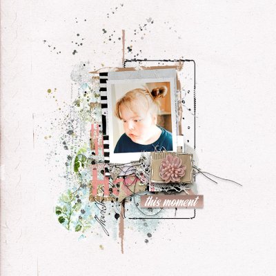 sbasic-takethepicture-Tracy