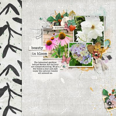 Beauty in Bloom