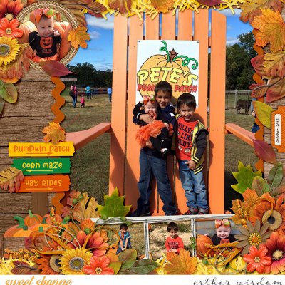 Petes Pumpkin Patch