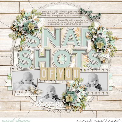 Snapshots Of You