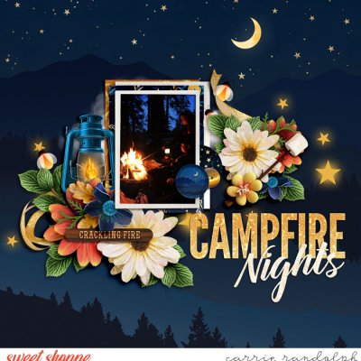 Campfire Nights