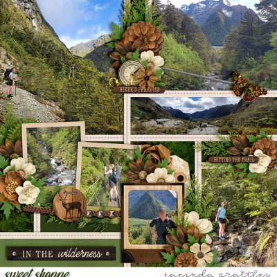 In the wilderness