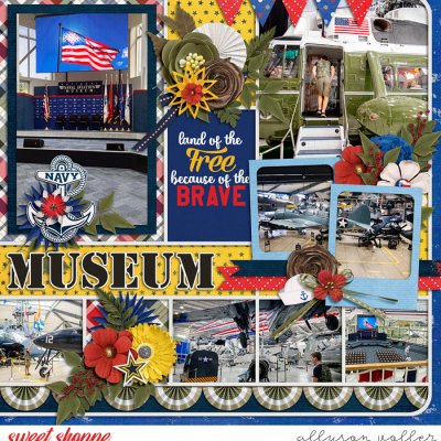 Naval Aviation Museum right