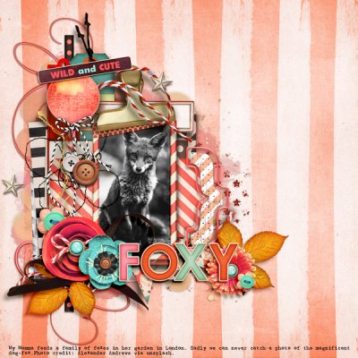 DSD Oct2022 - SPD Challenge - Foxy