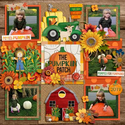 pumpkin patch