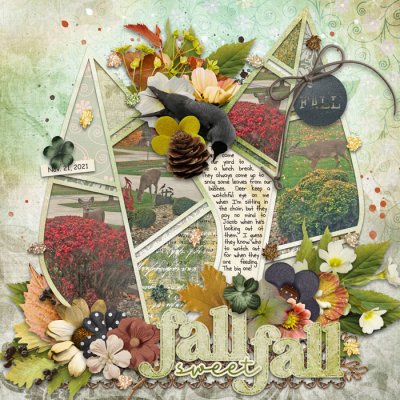 Fall Sweet Fall