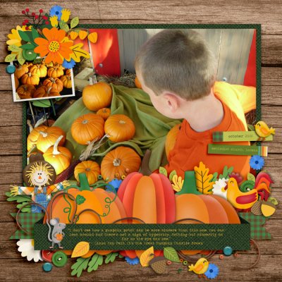 Pumpkin Patch quote