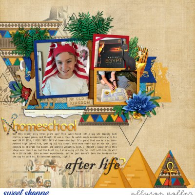 Homeschool After Life