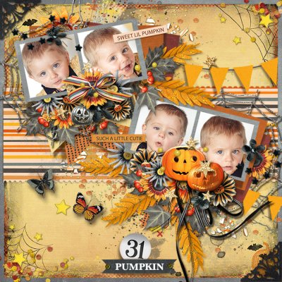 Cutest Pumpkin
