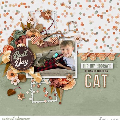 Hooray for a Cat