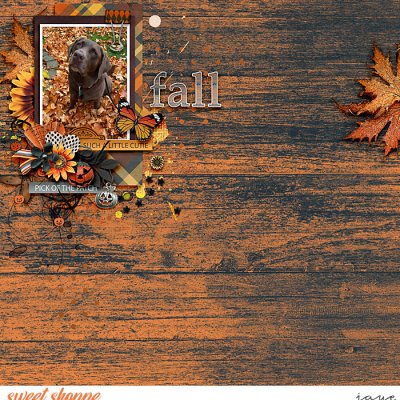 Playing in the Leaves