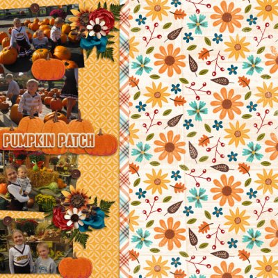 Pumpkin Patch
